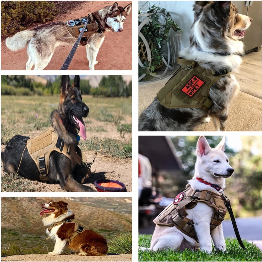 Conjunto de coleira e guia para cães grandes, colete tático para pastor alemão, para cães pequenos