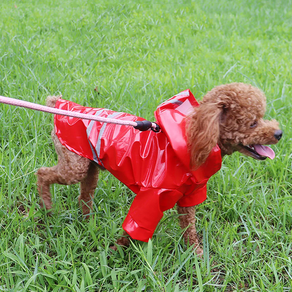 Capa de chuva para cachorro, roupas refletivas para filhotes de estimação, jaqueta de chuva para cachorro pequeno, à prova d'água, yorkshire, poodle, bichon, pomeranian, schnauzer, corgi