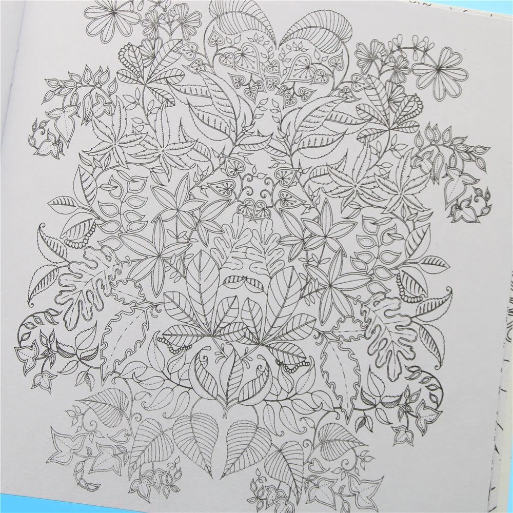 Livro de colorir Secret Garden, edição em inglês, com 24 páginas, para crianças e adultos, para aliviar o estresse, matar o tempo, pintar e desenhar