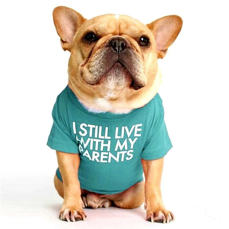 Roupas para cães, gatos e outros animais de estimação, coletes, roupas para cães pequenos, roupas de algodão da moda para buldogue francês, camiseta para animais de estimação, fantasia de chihuahua