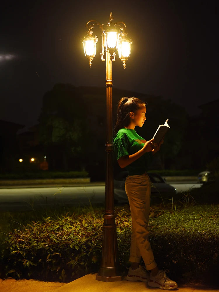 (H≈2,3M) Luzes de jardim, luzes de rua, gramado, flores, luzes de parque, à prova d'água, para áreas externas, vila, postes altos, luzes de paisagem