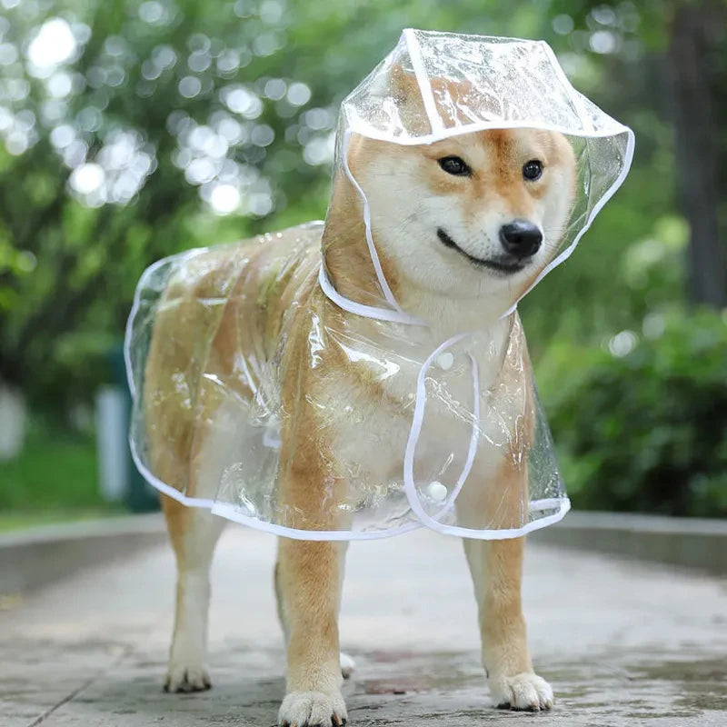 Capa de chuva transparente para cachorro e filhote, jaqueta impermeável com capuz, roupas de PVC macio, capa de chuva para cachorros pequenos
