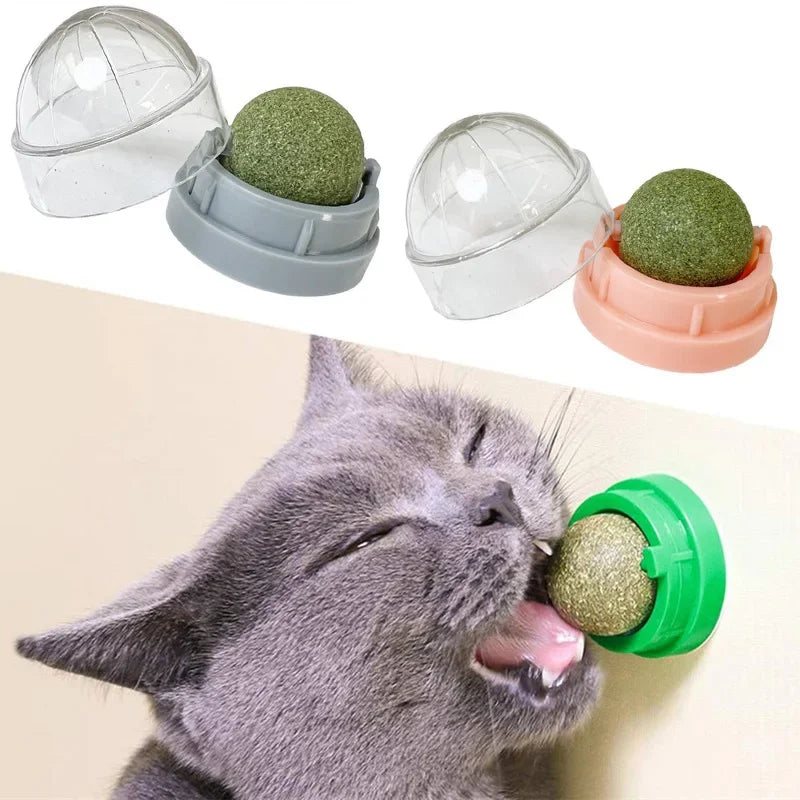 Brinquedo adesivo de parede para gatos Catnip, bola arranhadora, petiscos saudáveis e naturais, remove bolas para promover a digestão, petisco de grama para gatos