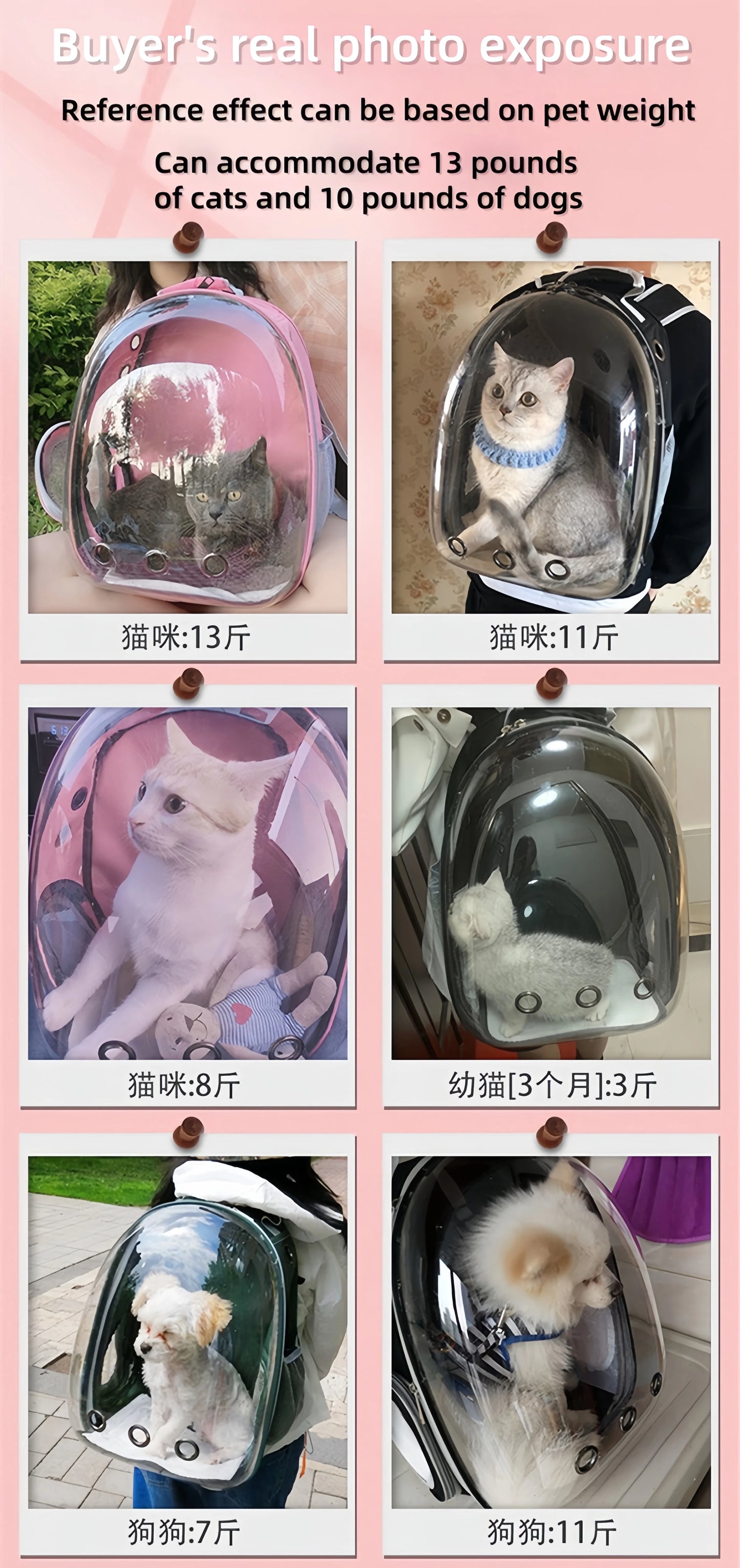 Bolsa de viagem transparente para gatos, mochila portátil para gatos, filhotes, bolsa respirável para levar suprimentos para animais de estimação