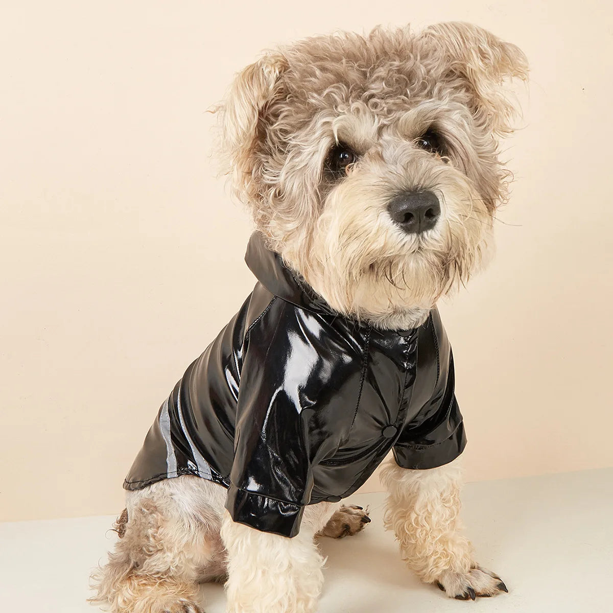 Capa de chuva para cachorro pequeno, impermeável e refletiva, à prova de vento, para cachorros e gatos, capa de chuva para chihuahua, bulldog, animais de estimação, capa, poncho, roupas