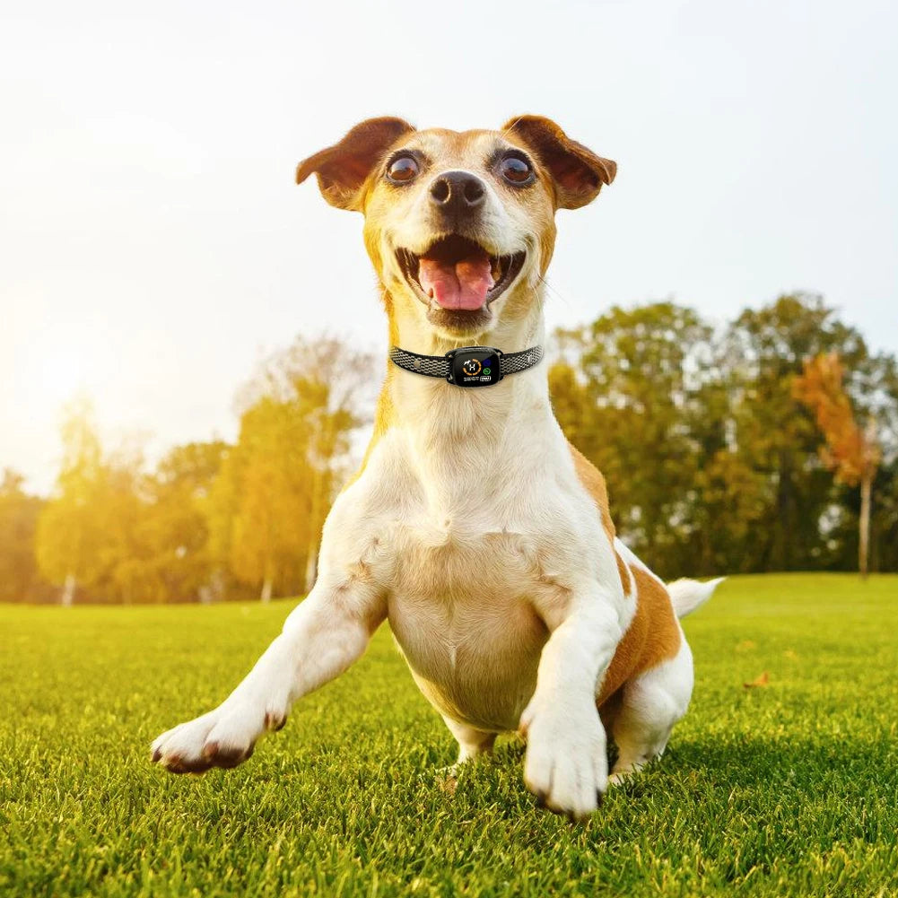 Coleira de treinamento antilatidos recarregável inteligente, coleira de treinamento à prova d'água para cães de pequeno porte