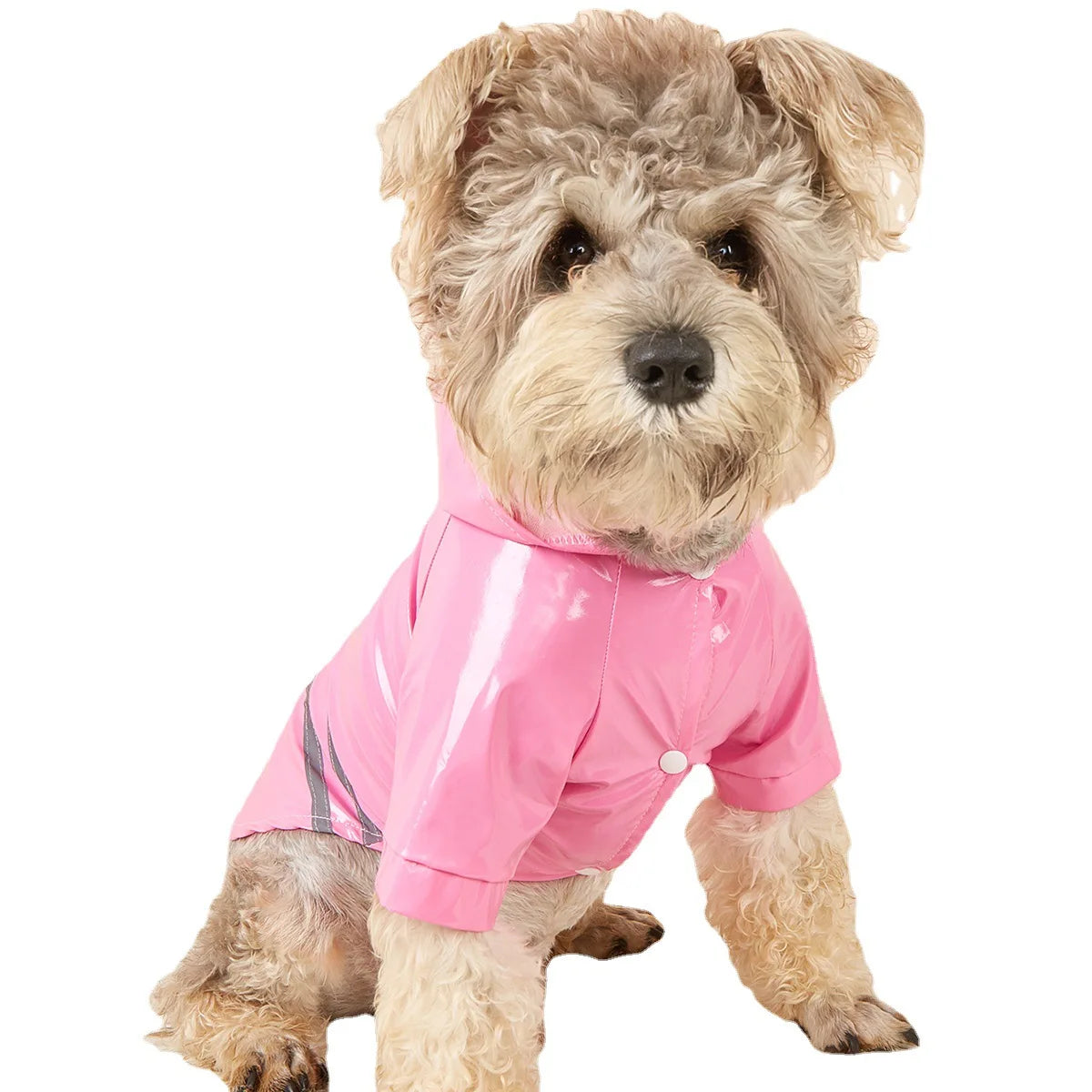 Capa de chuva para cachorro pequeno, impermeável e refletiva, à prova de vento, para cachorros e gatos, capa de chuva para chihuahua, bulldog, animais de estimação, capa, poncho, roupas