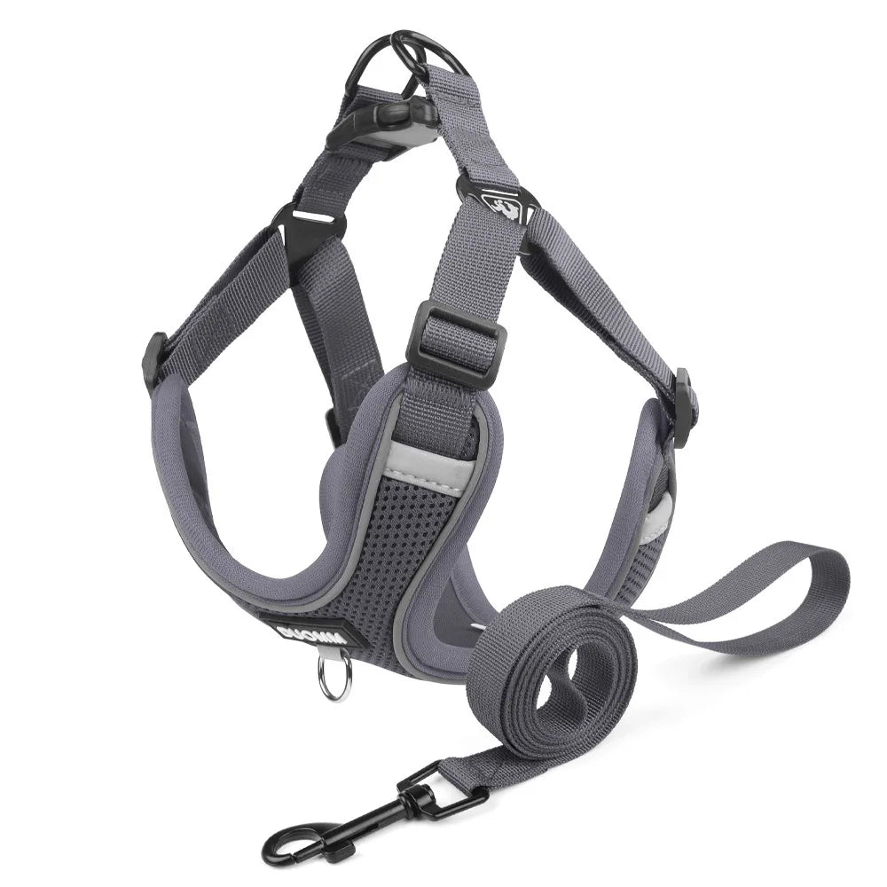 Conjunto de coleira para cães, pequeno, médio, cão, gato, peitoral ajustável, refletivo, respirável, colete de treinamento para caminhada, acessórios para animais de estimação