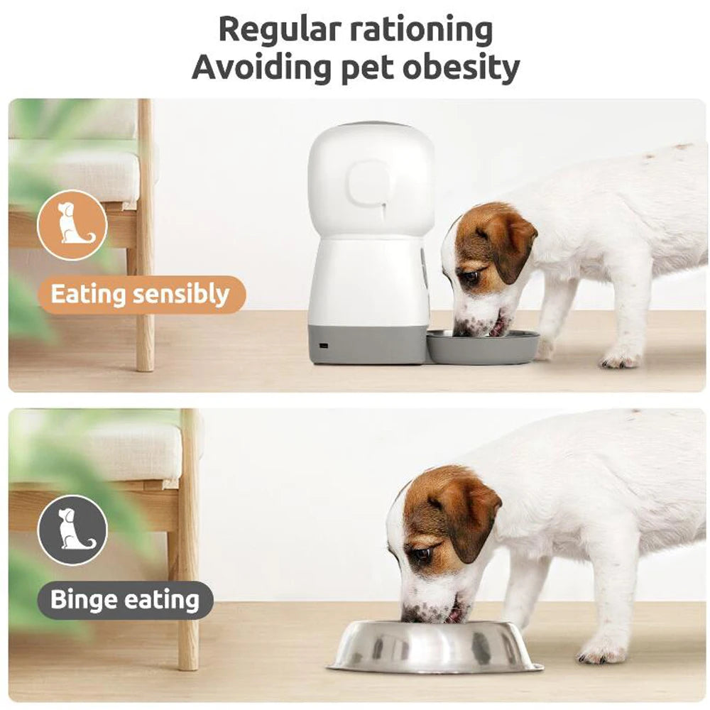Pet shop online 3.5L Automatic Pet Feeder For Cats WiFi Smart Swirl Slow Dog Feeder With Voice Recorder Large Capacity Timing Cat Food Dispenser