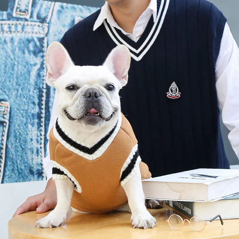 Winter Warm Pet Dog Sweater College Style V-neck Puppy Knitwear for Small Large Doggy Coat French Bulldog Vest Chihuahua Clothes