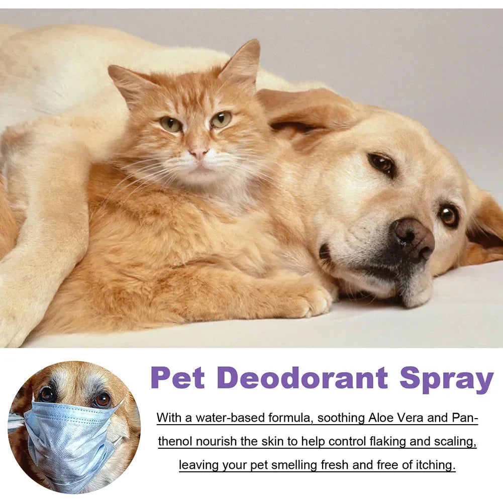 Spray desodorizante de óleo de lavanda para cães, spray desodorizante de longa duração para cães, filhotes, gatos, cães, para remover odores desagradáveis, refrescar o ar
