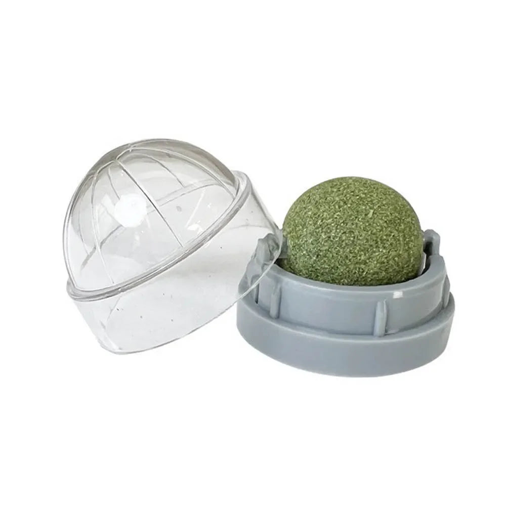 Brinquedo adesivo de parede para gatos Catnip, bola arranhadora, petiscos saudáveis e naturais, remove bolas para promover a digestão, petisco de grama para gatos