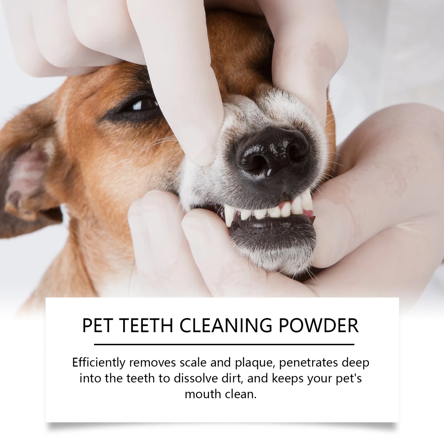 O pó de limpeza para dentes de animais de estimação YEGBONG remove o mau hálito, combate naturalmente o odor de tártaro e mantém o hálito do seu animal de estimação fresco