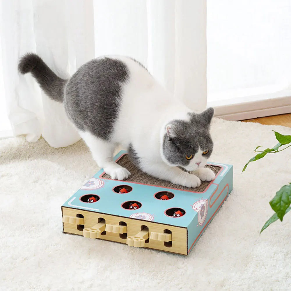 Brinquedo para gatos Whack-a-Mole, brinquedo para arranhar gatos, descanso para garras, brinquedo interativo divertido para gatos, suprimentos multifuncionais para gatos