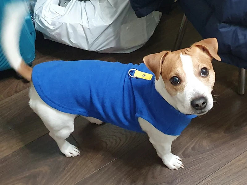 Roupas de inverno quentes de lã para cães, jaqueta macia para animais de estimação, colete com argola em D para filhotes pequenos, casaco para gatos, chihuahua, buldogue francês, fantasia de pug