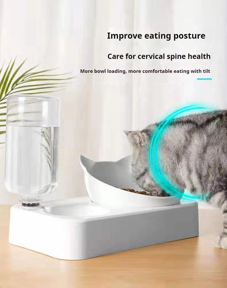 Tigelas duplas para cães e gatos, tigelas para água e comida inclinadas 15 graus, tigelas elevadas para gatos com garrafa de água automática - alimentador para animais de estimação