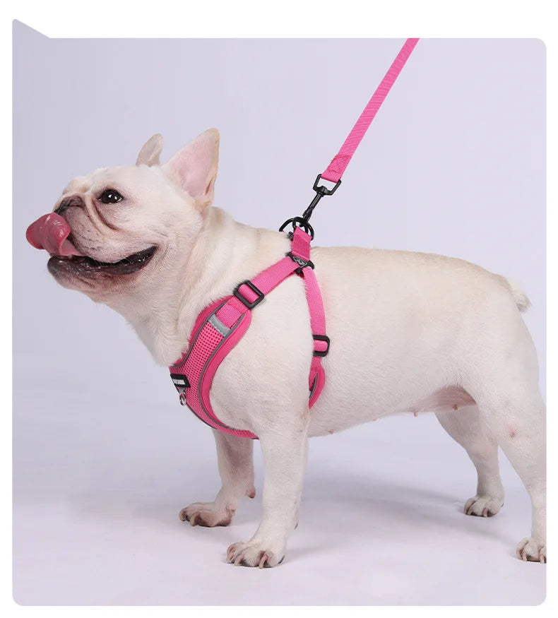 Conjunto de coleira para cães, pequeno, médio, cão, gato, peitoral ajustável, refletivo, respirável, colete de treinamento para caminhada, acessórios para animais de estimação