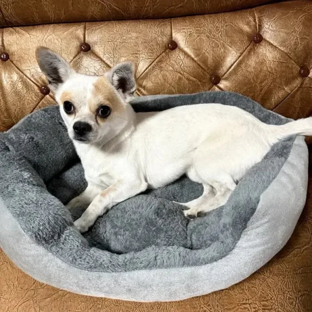 Cama macia e quente para cães, cesta para animais de estimação, casa para gatos, sofá para cães de médio e grande porte, almofada para cama de cachorro, casa para animais de estimação, acessórios e suprimentos 2025novo