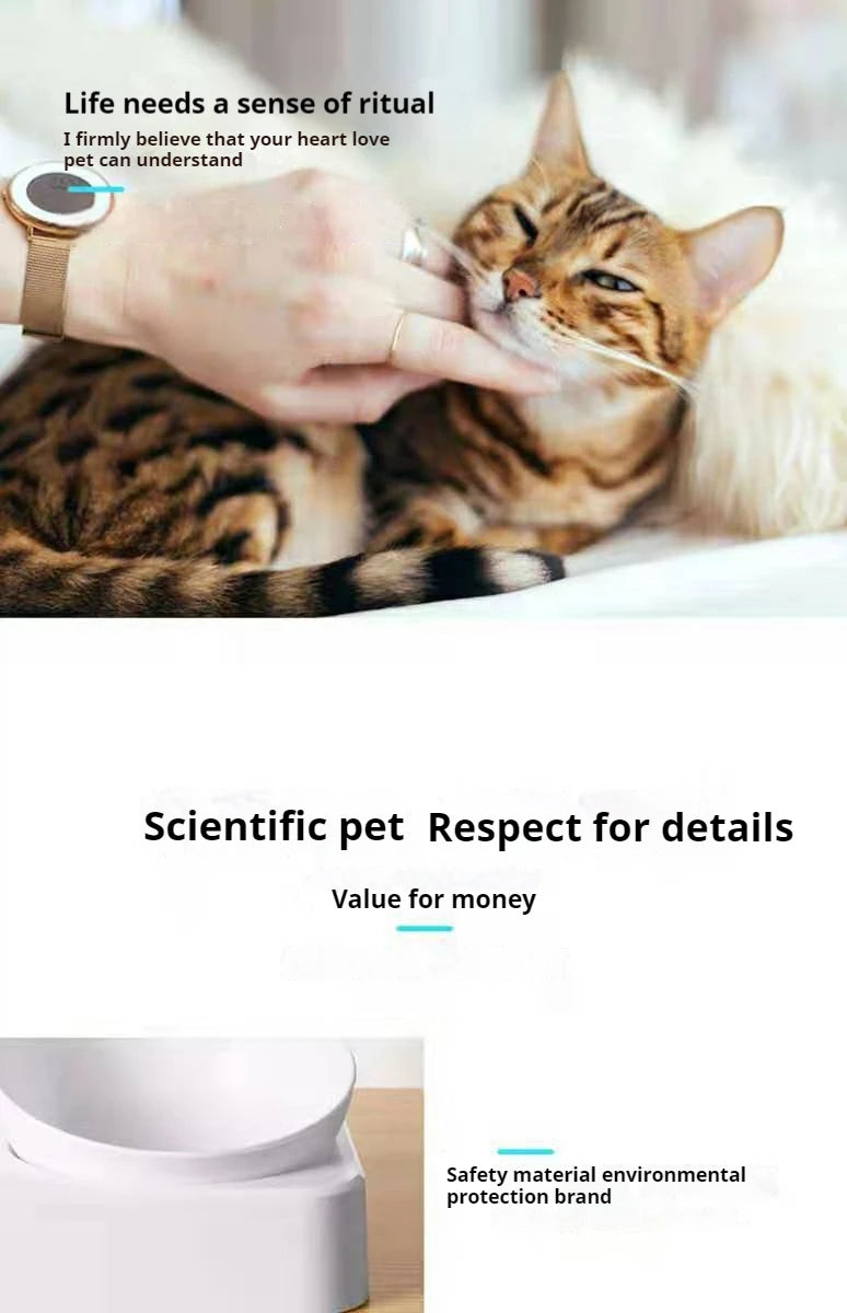 Tigelas duplas para cães e gatos, tigelas para água e comida inclinadas 15 graus, tigelas elevadas para gatos com garrafa de água automática - alimentador para animais de estimação