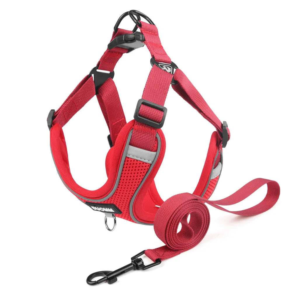 Conjunto de coleira para cães, pequeno, médio, cão, gato, peitoral ajustável, refletivo, respirável, colete de treinamento para caminhada, acessórios para animais de estimação