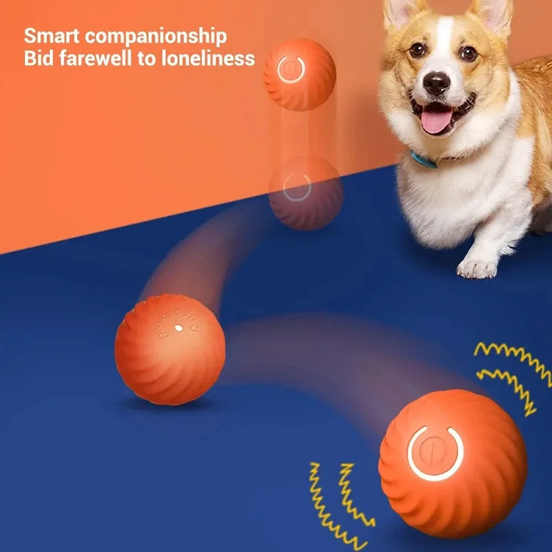 Bola de brinquedo para cachorro, bola automática de movimento e rolamento, USB, brinquedo interativo inteligente para cachorro, bola de mastigar