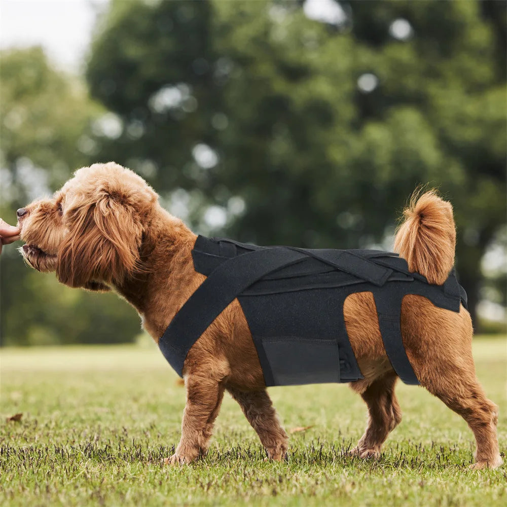 Mochilas de transporte frontal para animais de estimação, mochilas ajustáveis com mãos livres para cães de pequeno e médio porte, respiráveis e para gatos, bolsas de transporte para viagens ao ar livre