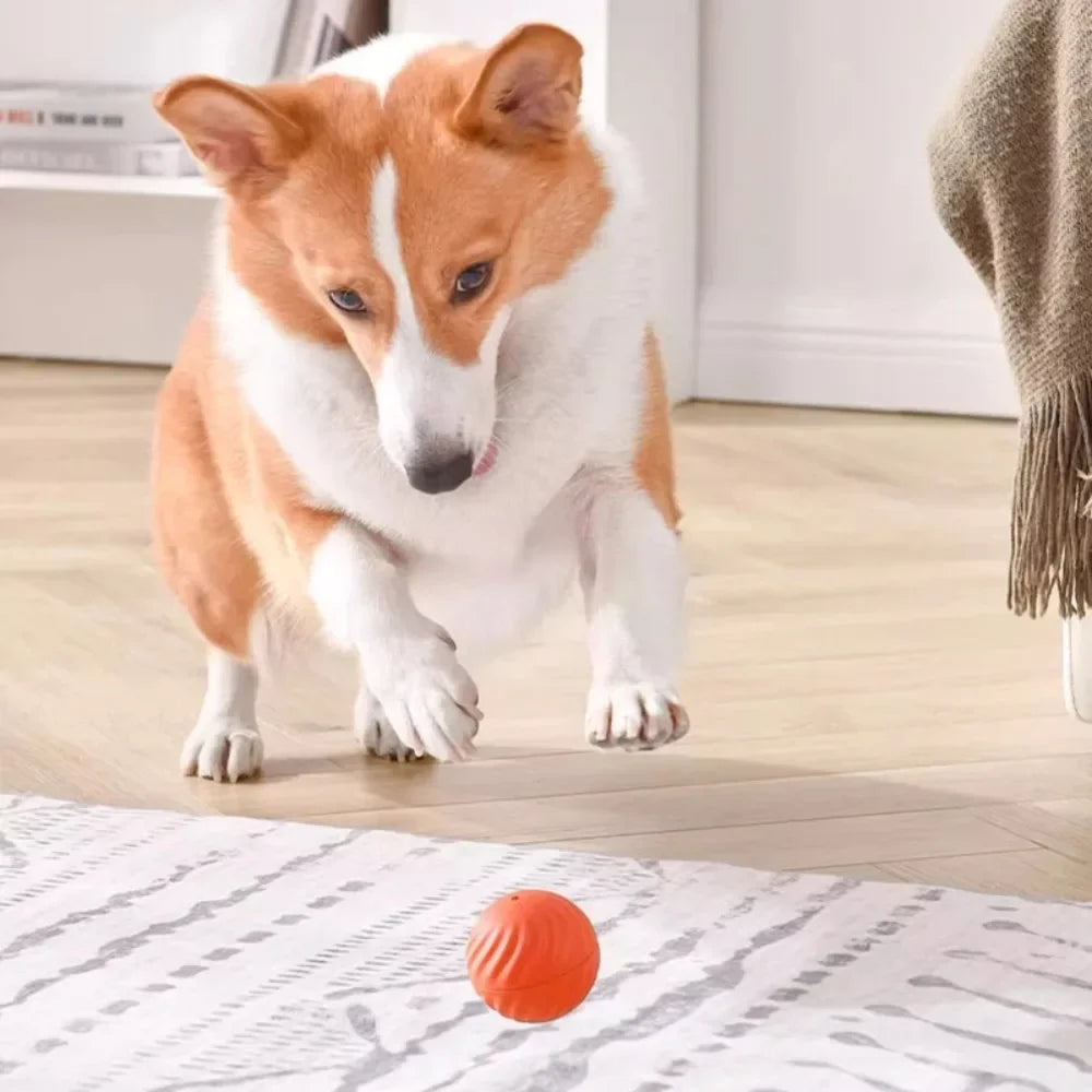 Bola de brinquedo para cachorro com movimento automático, bola de brinquedo inteligente USB com salto giratório e brinquedo interativo para mastigar cachorro, bola de brinquedo para filhotes