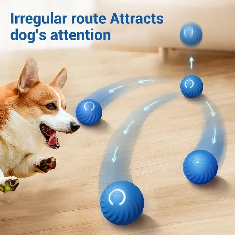 Bola de brinquedo para cachorro, bola automática de movimento e rolamento, USB, brinquedo interativo inteligente para cachorro, bola de mastigar