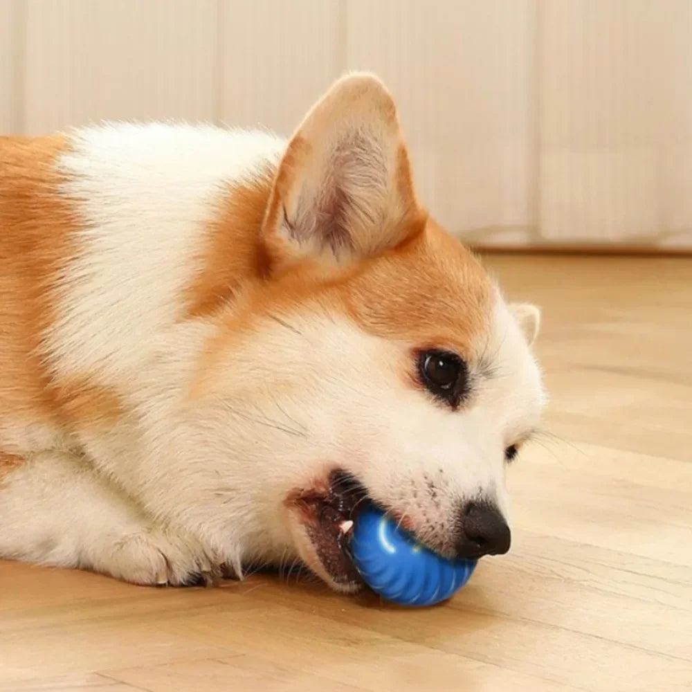 Bola de brinquedo para cachorro com movimento automático, bola de brinquedo inteligente USB com salto giratório e brinquedo interativo para mastigar cachorro, bola de brinquedo para filhotes