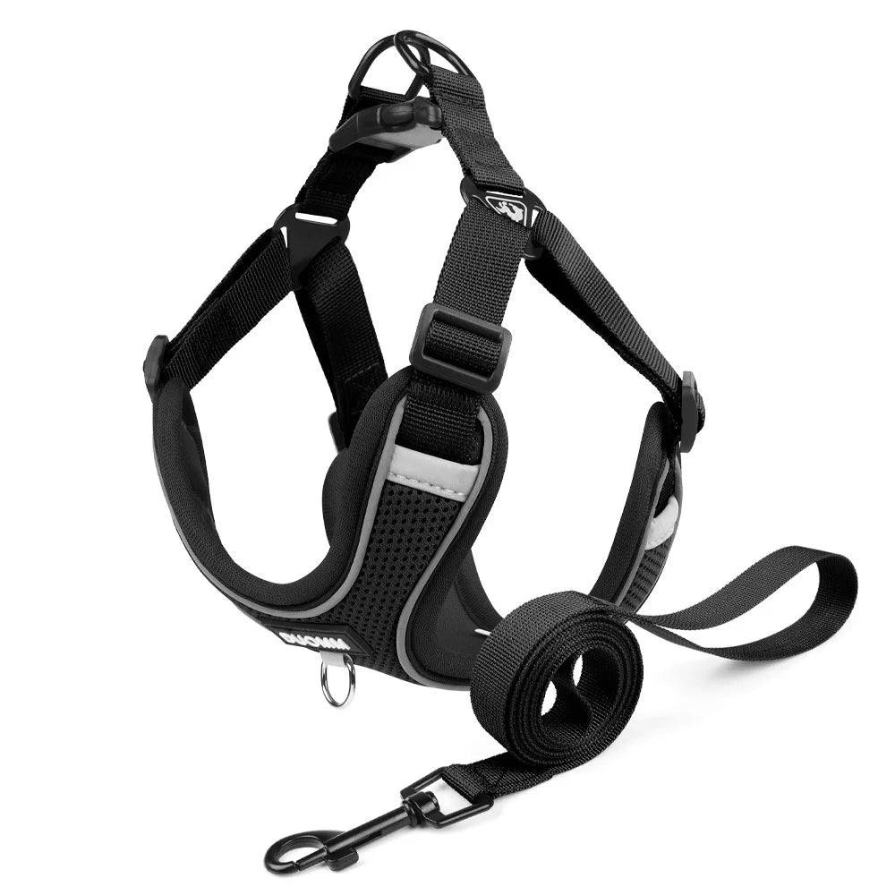 Conjunto de coleira para cães, pequeno, médio, cão, gato, peitoral ajustável, refletivo, respirável, colete de treinamento para caminhada, acessórios para animais de estimação