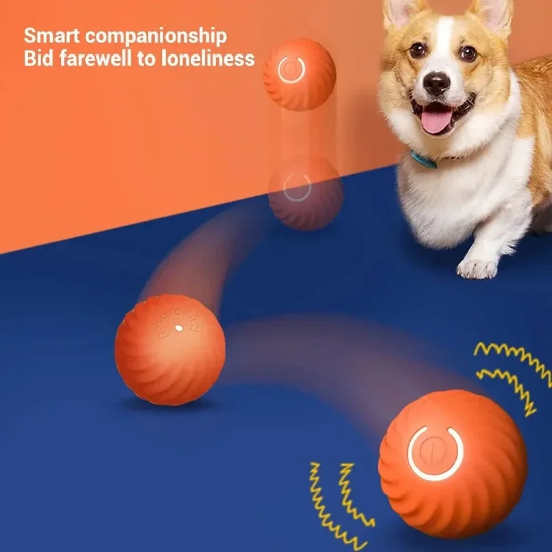 Bola de brinquedo para cachorro, bola automática de movimento e rolamento, USB, brinquedo interativo inteligente para cachorro, bola de mastigar