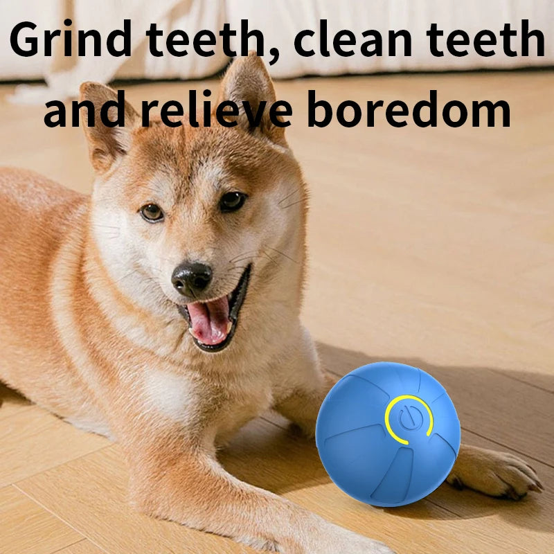 Bola de brinquedo inteligente para cachorro, brinquedo eletrônico interativo automático para animais de estimação, com rolamento, recarregável por USB, que salta para filhotes e cães grandes, brinquedo de mastigar