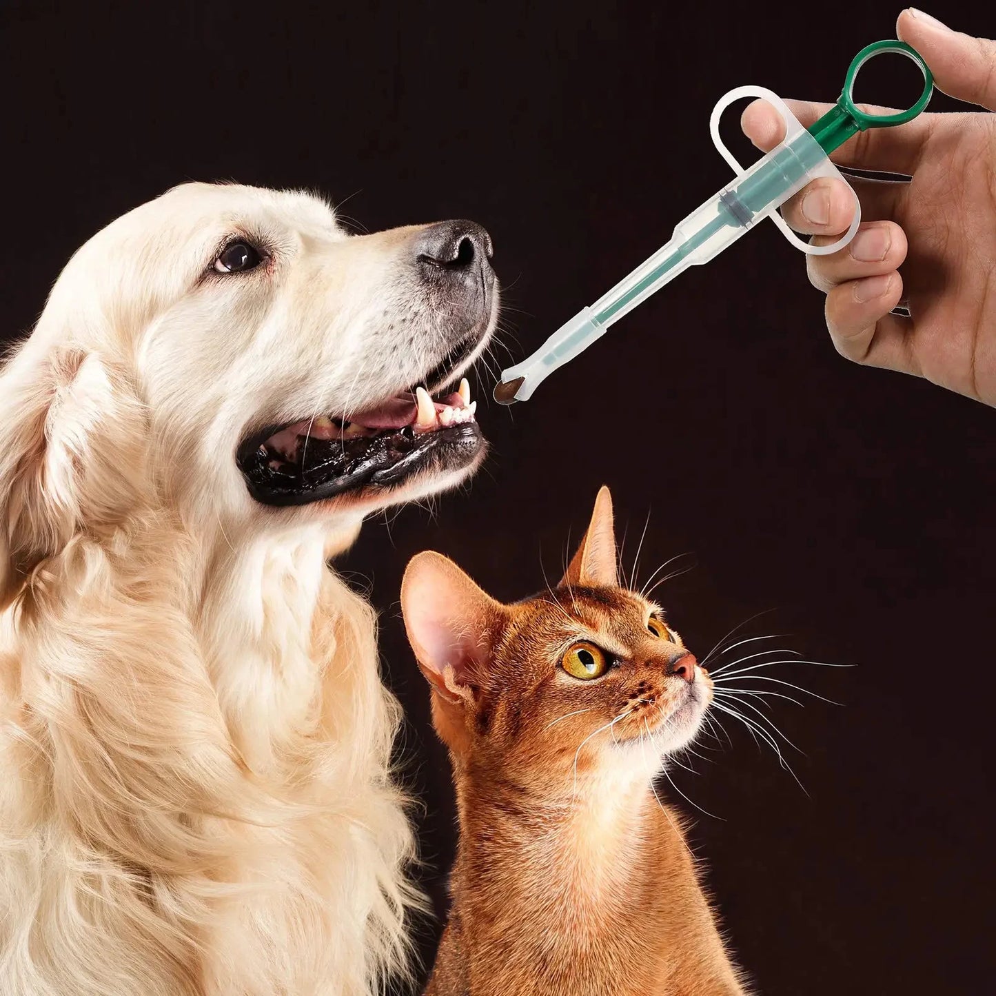 Dispensador de medicamentos para animais de estimação, bastão de alimentação de pressão para cães e gatos, pílulas para comer, pílulas, artefatos de medicamentos, cuidados com doenças em animais de estimação