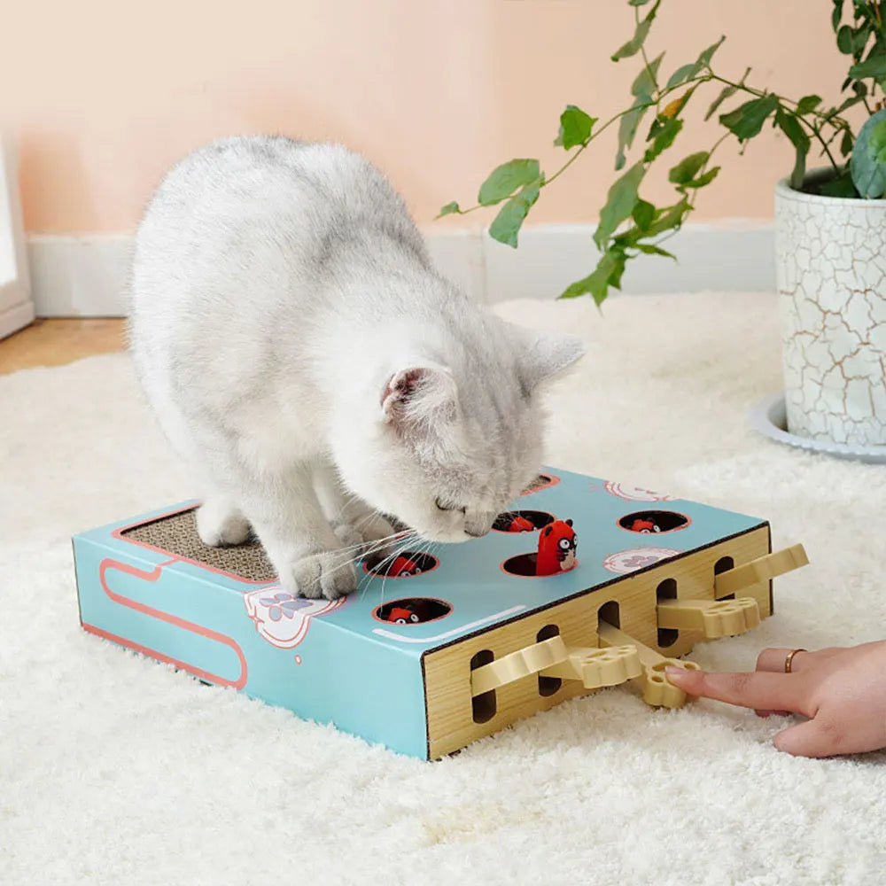 Brinquedo para gatos Whack-a-Mole, brinquedo para arranhar gatos, descanso para garras, brinquedo interativo divertido para gatos, suprimentos multifuncionais para gatos