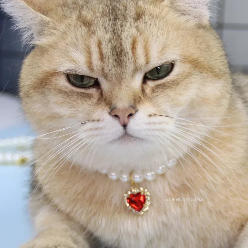 Pet Pearl Collar Dog Princess Necklace Cat Jewelry Cute Collar Puppy Accessories Dog Kitten Chain Chihuahua Wedding Jewelry Gift