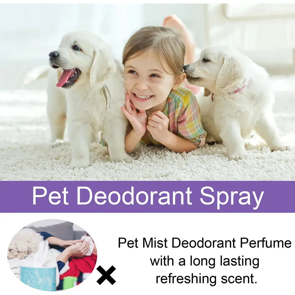 Spray desodorizante de óleo de lavanda para cães, spray desodorizante de longa duração para cães, filhotes, gatos, cães, para remover odores desagradáveis, refrescar o ar
