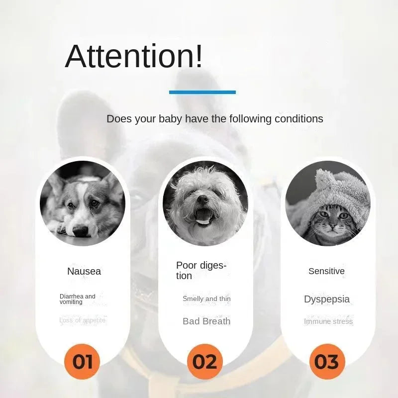 Probióticos para animais de estimação regulam o estômago e aumentam o apetite em gatos e cães, diarreia geral, constipação e vômito.