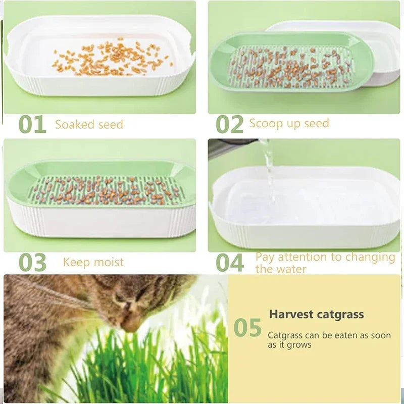 Caixa de grama hidropônica para gatos, petiscos para gatos, erva de gato, plantio hidropônico sem solo, conjunto de vasos para grama de gato para fácil crescimento