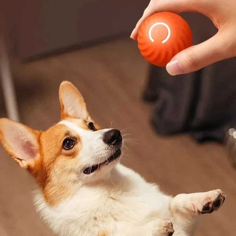 Bola de brinquedo para cachorro, bola automática de movimento e rolamento, USB, brinquedo interativo inteligente para cachorro, bola de mastigar