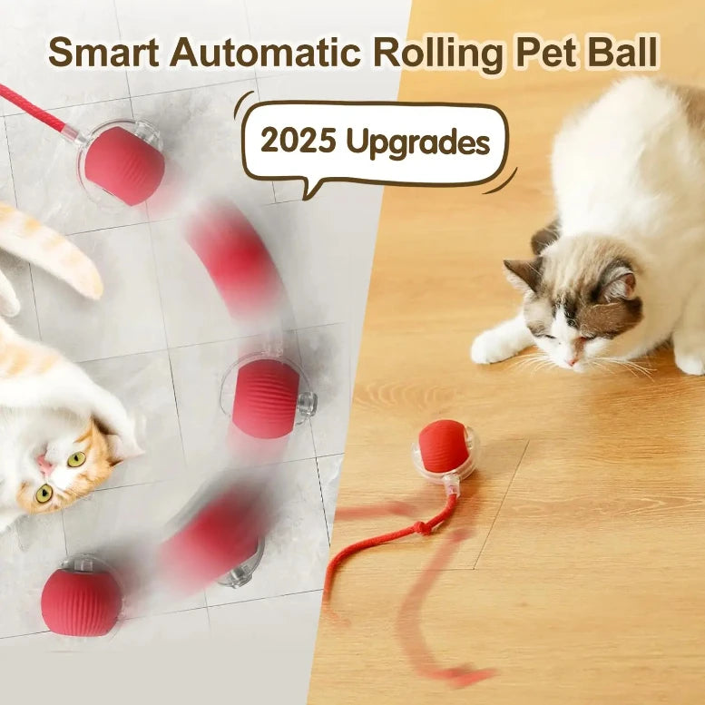 Bola de brinquedo interativa para gatos, bola rolante automática com cauda, brinquedo interativo inteligente recarregável para animais de estimação, rato inteligente para gatos