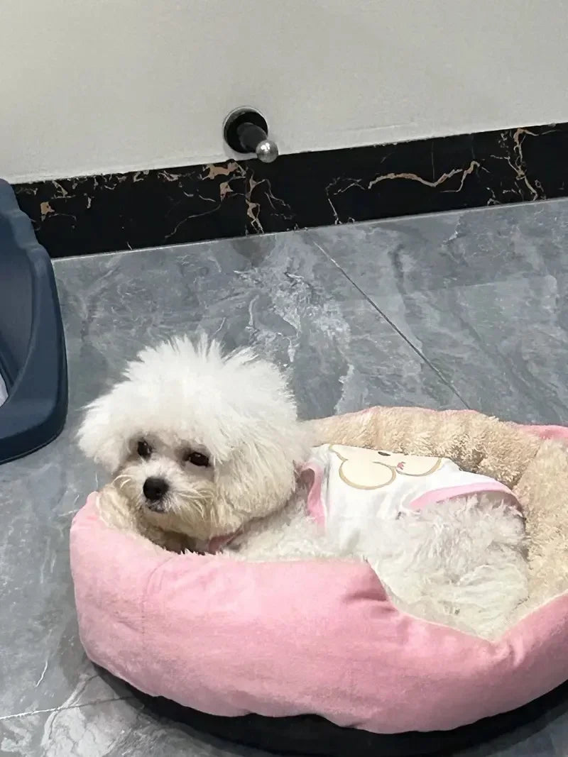 Cama macia e quente para cães, cesta para animais de estimação, casa para gatos, sofá para cães de médio e grande porte, almofada para cama de cachorro, casa para animais de estimação, acessórios e suprimentos 2025novo