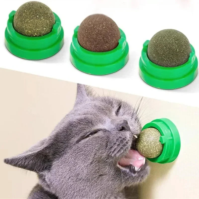 Brinquedo adesivo de parede para gatos Catnip, bola arranhadora, petiscos saudáveis e naturais, remove bolas para promover a digestão, petisco de grama para gatos