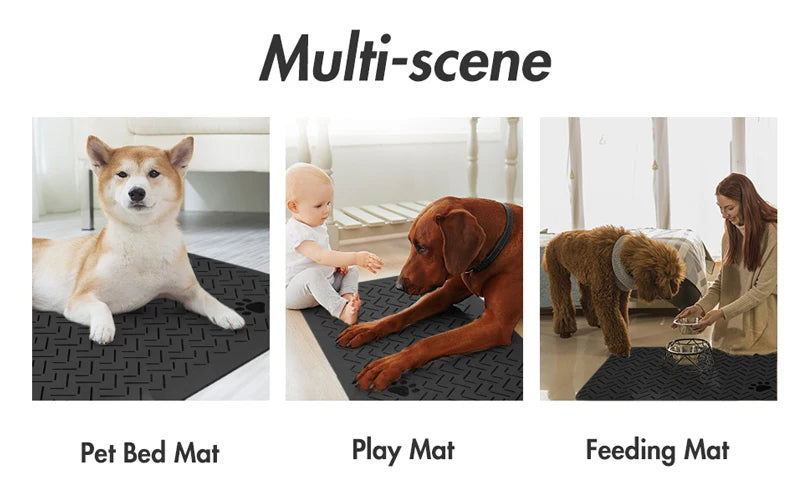 Alimentador Automático para Cães – Dispensador Inteligente de Alimentos com Temporizador para Animais de Estimação