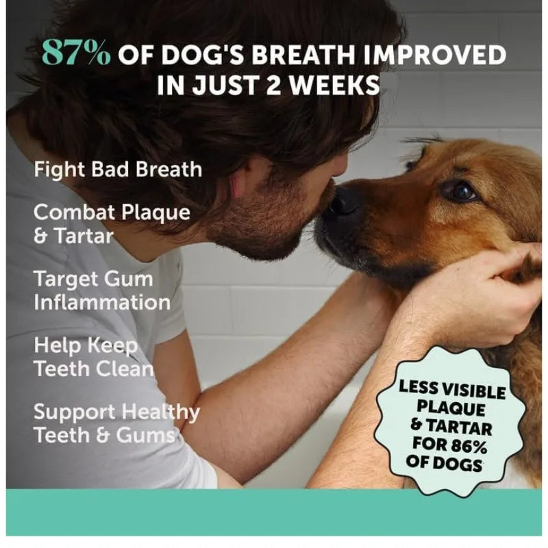 Pó de limpeza dental 80g para cães e gatos, limpeza bucal, limpeza dos dentes, mau hálito, mau hálito de animais de estimação, pó de limpeza dental