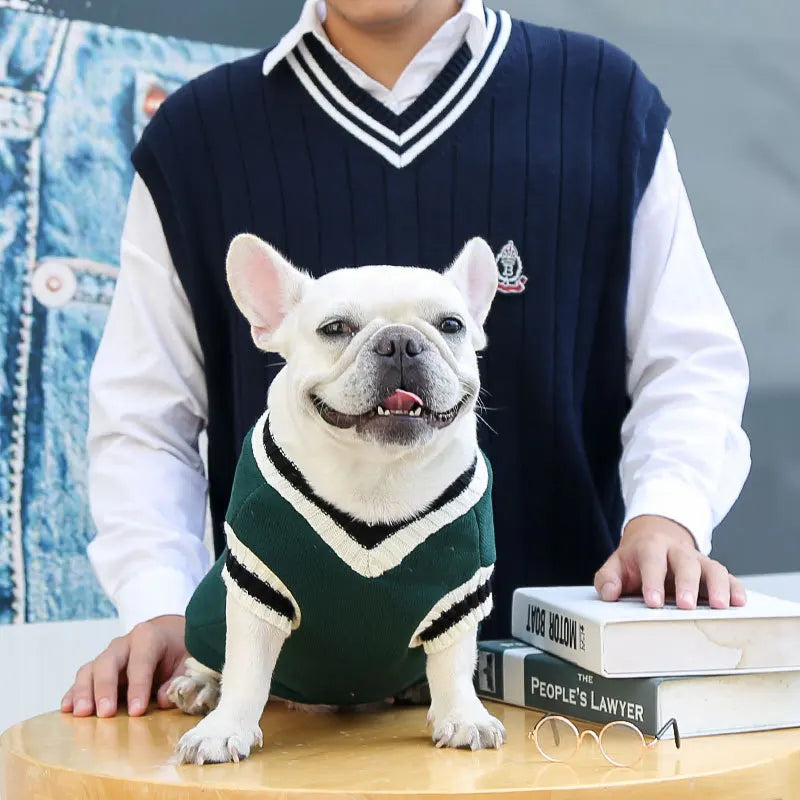 Winter Warm Pet Dog Sweater College Style V-neck Puppy Knitwear for Small Large Doggy Coat French Bulldog Vest Chihuahua Clothes