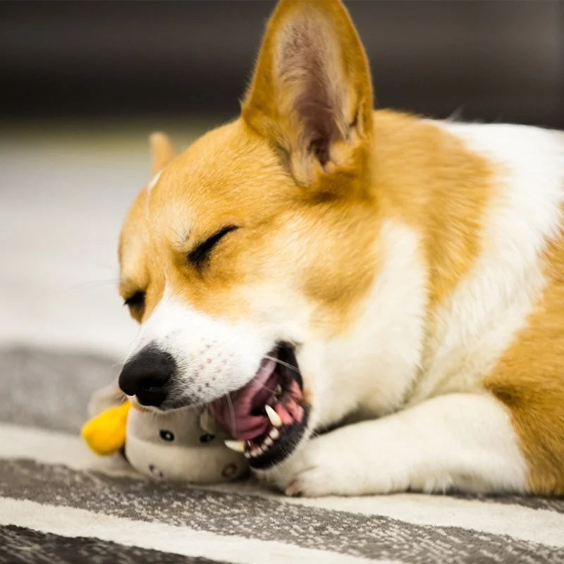 Brinquedo de pelúcia para cachorro GiGwi, série Honour, boneco com chamada de voz, alivia o tédio, cachorro de pequeno e médio porte, brinquedo com som para presente