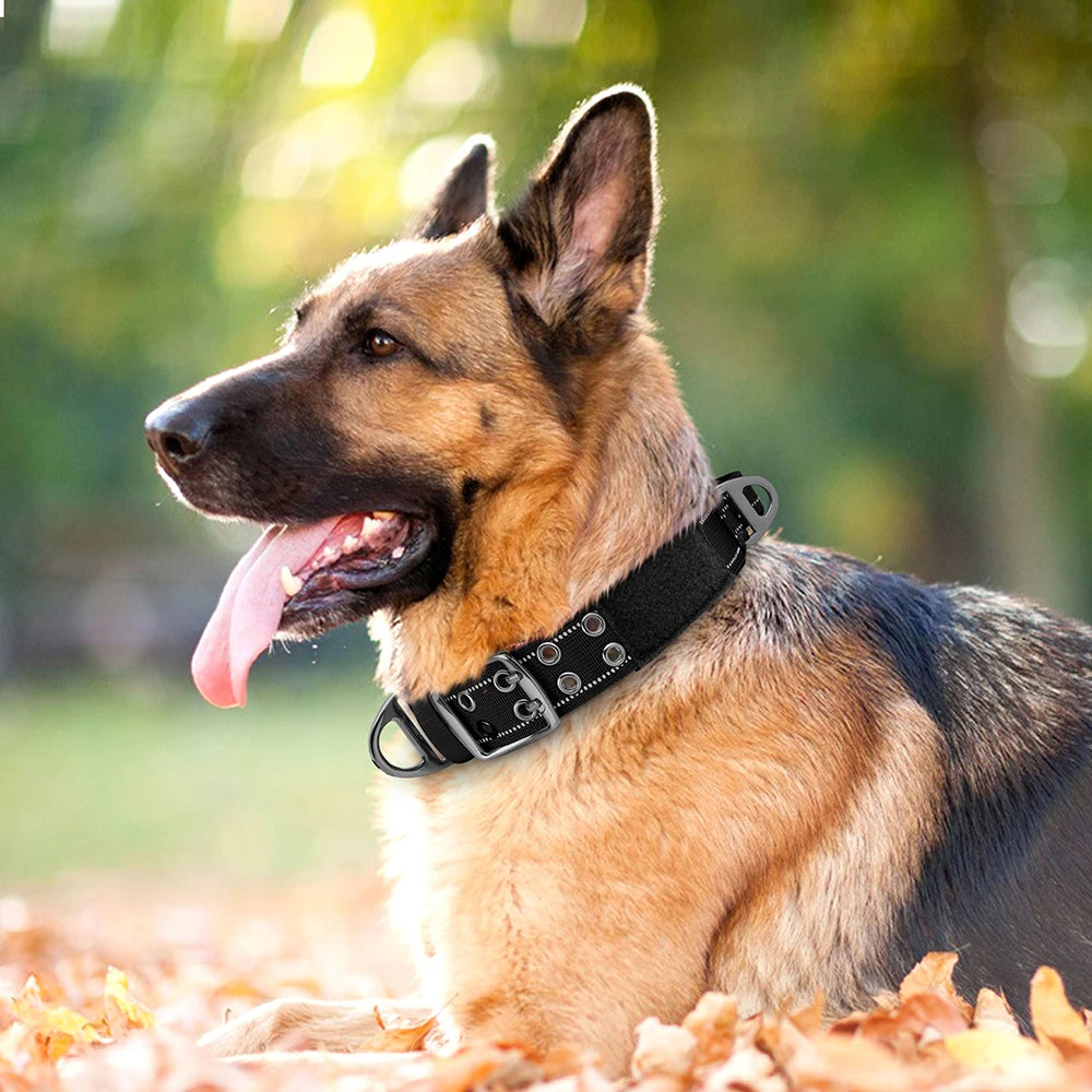 Military Tactical Dog Collar Nylon Wide Pet Training Collars Necklace With Handle Strong For Medium Large Dogs French Bulldog