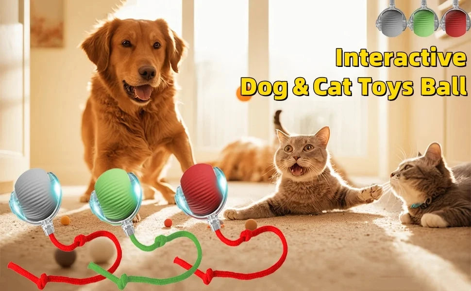 Bola interativa automática recarregável para gatos 2025, com sensor de movimento inteligente sem fio e cauda falsa, brinquedo para gatos domésticos, acessórios para animais de estimação