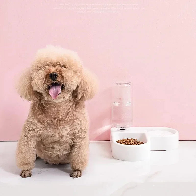 Tigela de comida para animais de estimação, recipiente de comida com armazenamento automático de água e equipado com dispensador de água para animais de estimação 2 em 1 dispensador de água para tigela de gato