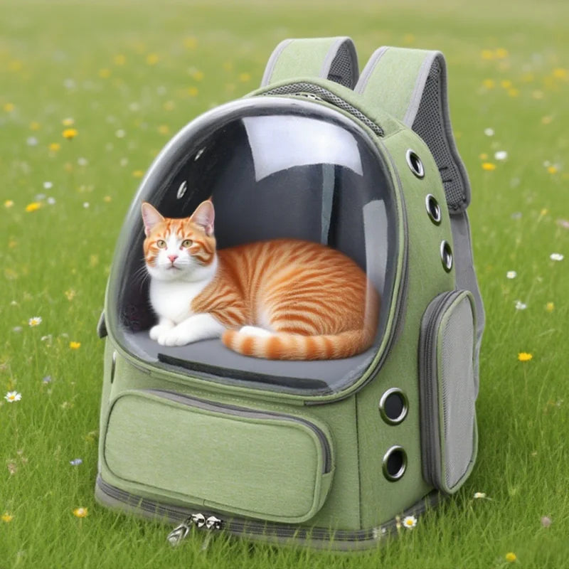 Mochila transparente para transporte de animais de estimação, essencial para viagens ao ar livre, para gatos e cães pequenos, design respirável, suprimentos premium e confortáveis para animais de estimação